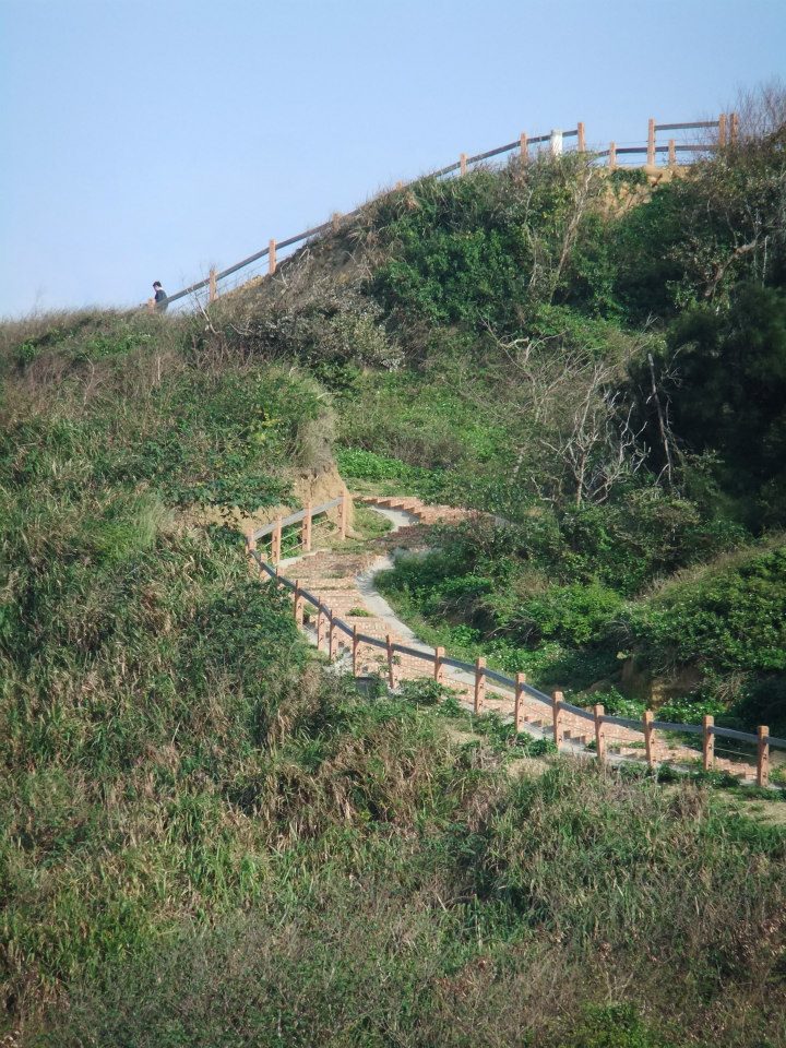 n樤nsBD(参)